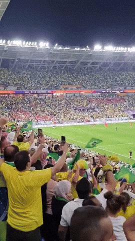 Fifa World Cup Brazil Football Team Fans GIF