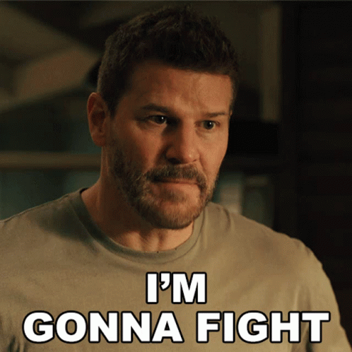 Fight On I'm Gonna Fight GIF