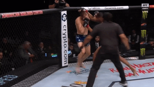 Fighter In Cage With Crypto.com Banner GIF