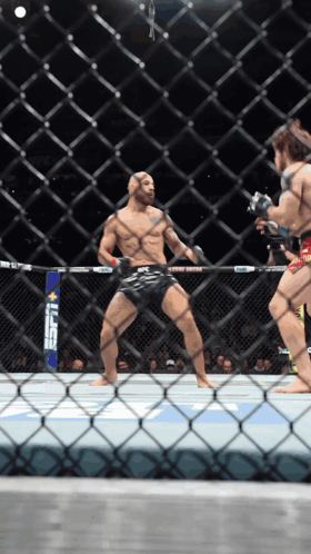 Fighter in Cage With UFC