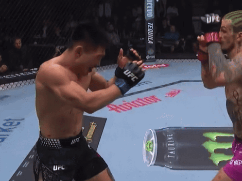 Fighter in UFC Gloves Punching Another Fighter