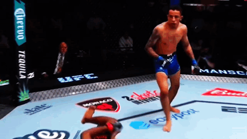 Fighter In UFC Ring With Budweiser Advertisement GIF