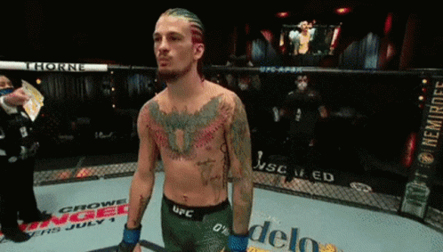 Fighter In UFC Ring With Thorne GIF