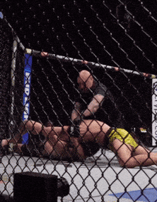 Fighter Lying in Cage With Bud Light