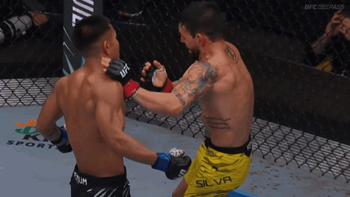 Fighters Fighting in Cage Silva Shorts