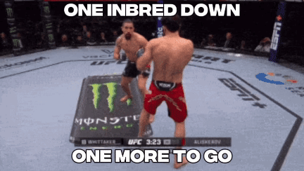 Fighters One Inbred Down One More To Go GIF