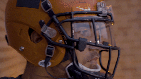 Fighting Illini Fierce Gaze GIF