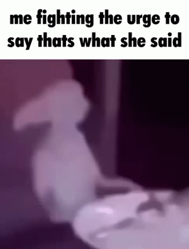 Fighting the Urge to Say Thats What She Said