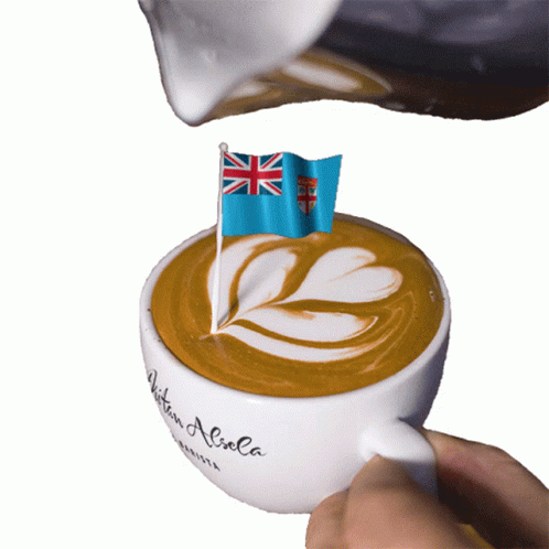 Fiji Flag Latte Art GIF