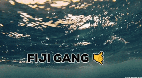 Fiji Gang Underwater GIF