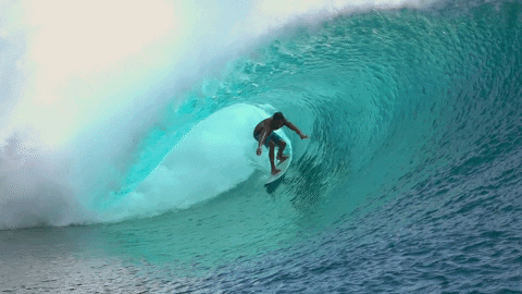 Fiji Ocean Wave Surfer GIF