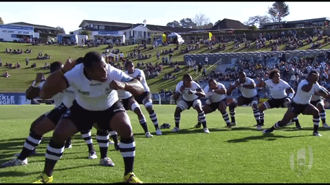 Fiji Rugby Team 2019 GIF
