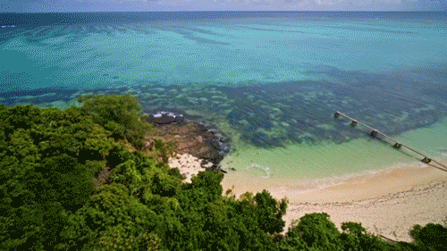 Fiji Survivor Season 41 GIF