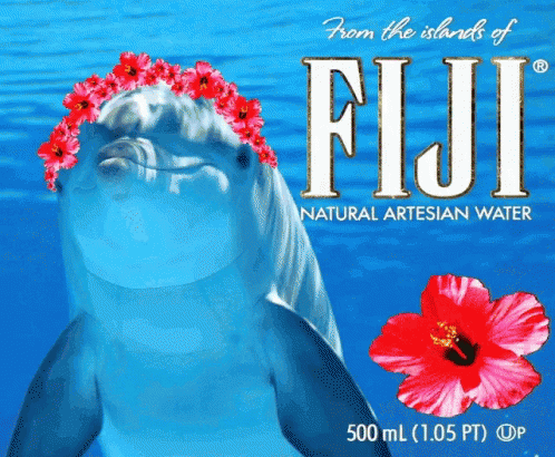 Fiji Water Dolphin Art GIF