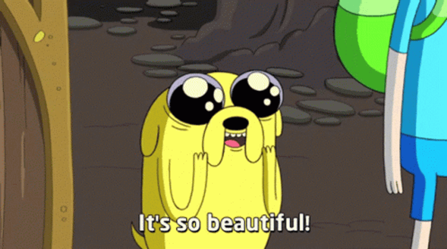 Fin The Dog Its So Gorgeous GIF