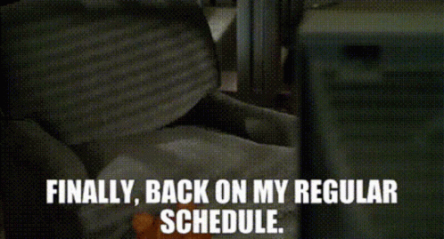 Finally Back On My Regular Schedule Garfield GIF