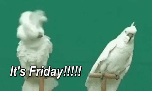 Finally Friday Funny Birds Reaction GIF
