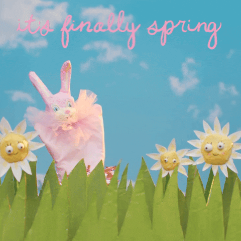 Finally It's The First Day Of Spring GIF