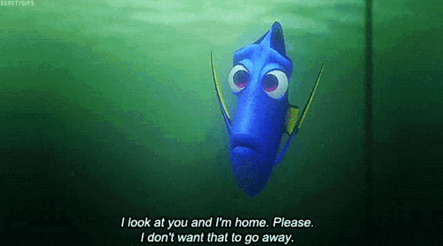 Finding Dory Look At You Gif GIF