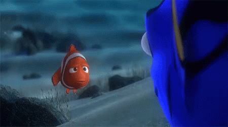 Finding Nemo Something Wrong With You GIF