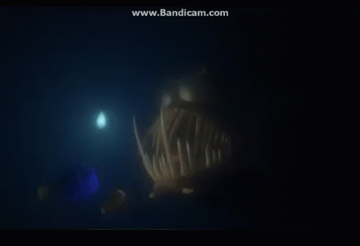 Finding Nemo GIF