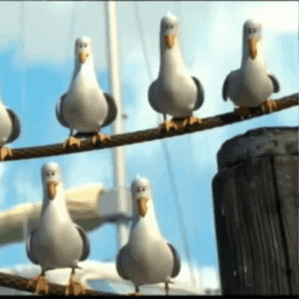 Finding Nemo Birds GIF