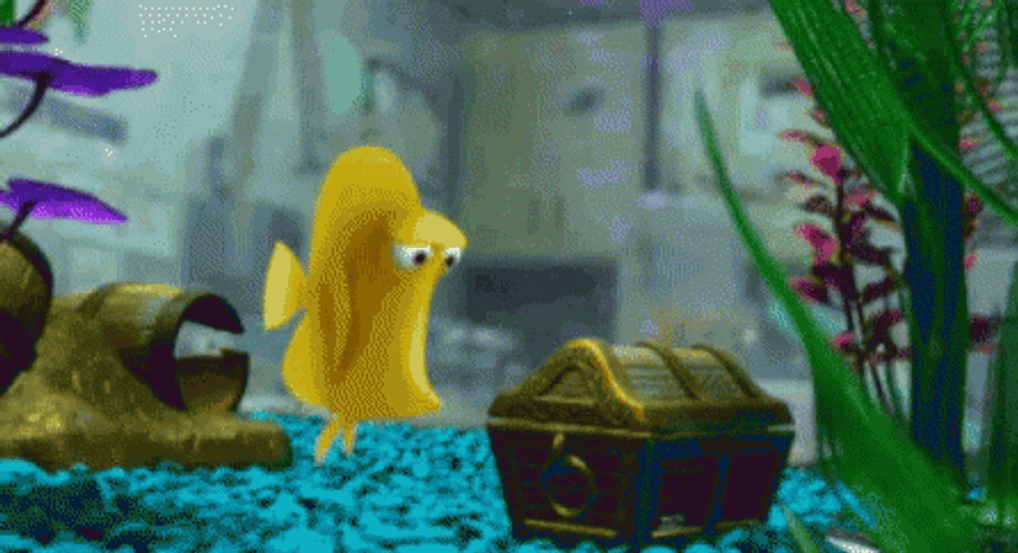 Finding Nemo Bubbles Yellow Tang Fish GIF