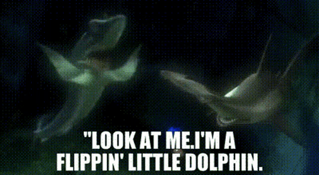 Finding Nemo Chum Gif GIF