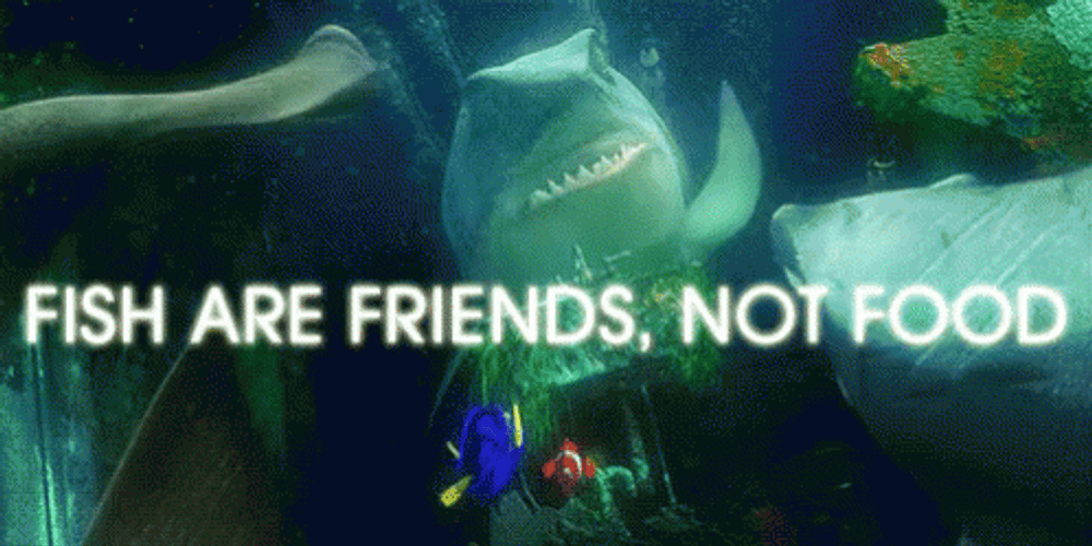 Finding Nemo Fish Are Friends Not Food GIF