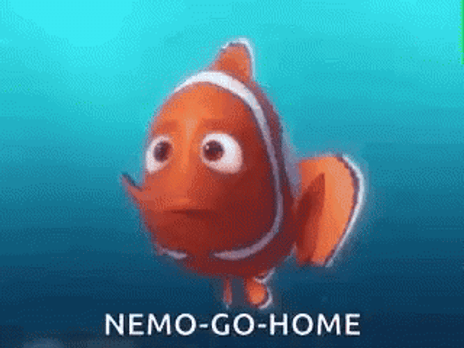 Finding Nemo Go Home GIF