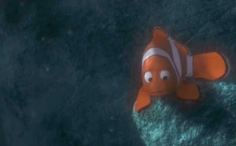 Finding Nemo Hey Mr Grumpy Gills GIF