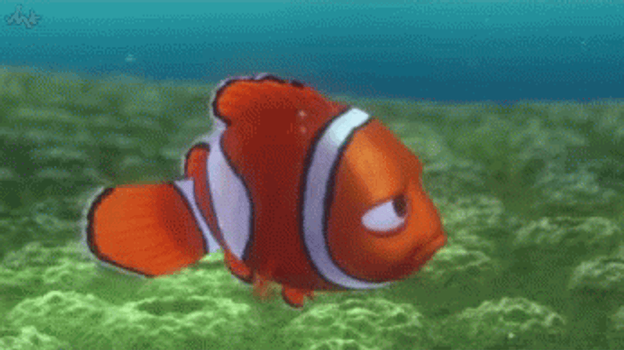 Finding Nemo Marlin The Clown Fish GIF