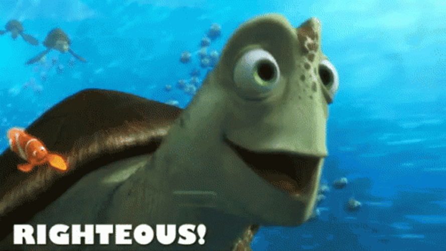 Finding Nemo Righteous Crush GIF