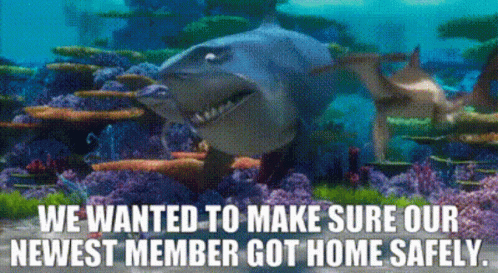 Finding Nemo Scene Sharks Got Home GIF