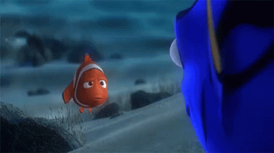Finding Nemo Something Wrong With You GIF