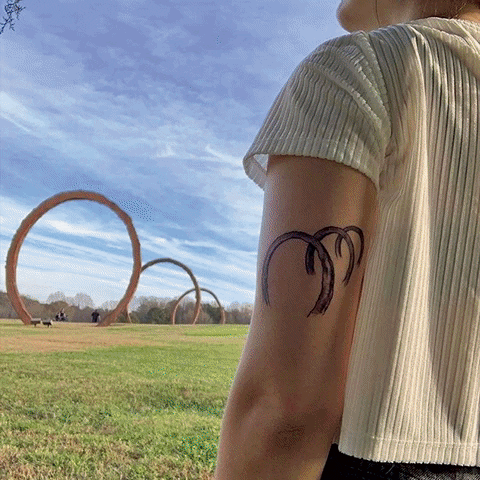 Fine Art Museum Of Art Image Compilation GIF