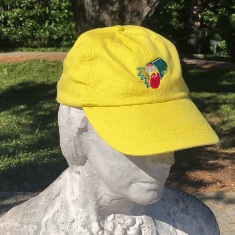Fine Art Polychromatic Baseball Cap GIF