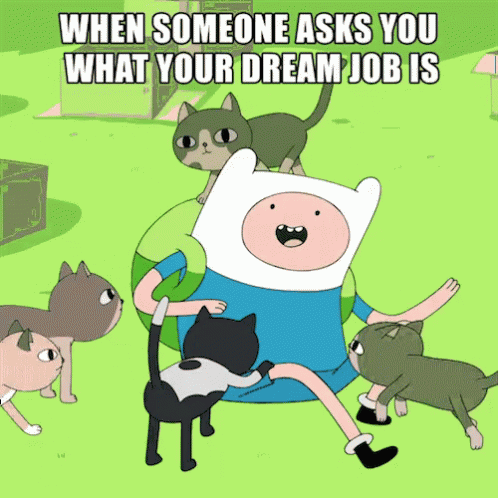 Finn Surrounded By Cats When Someone Asks You What Your Dream Job Is