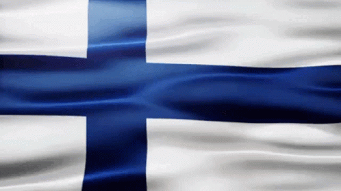 Finnish Flag With Blue Cross