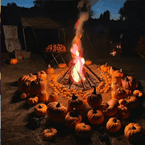 Fire Surrounded By Pumpkins In Field At Night GIF