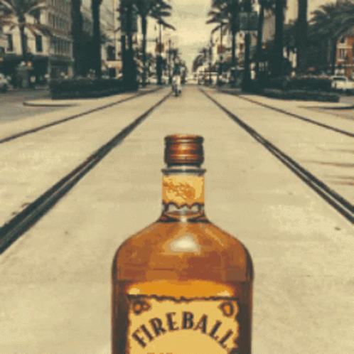 Fireball Around The World Whisky GIF
