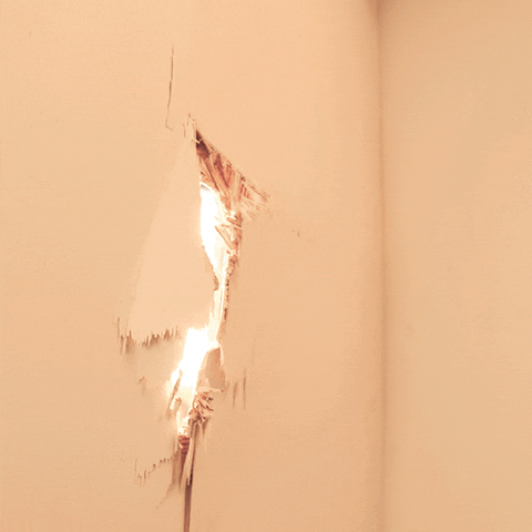 Fireball Heres Whisky GIF