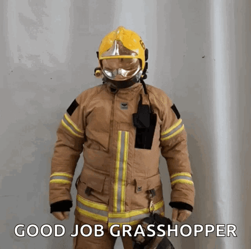 Fireman In Helmet And Gloves Says Good Job Grasshopper GIF