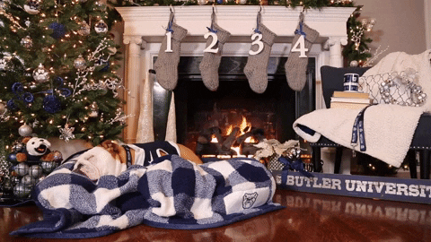 Fireplace And Dog GIF