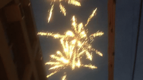 Firework Display in Night Sky