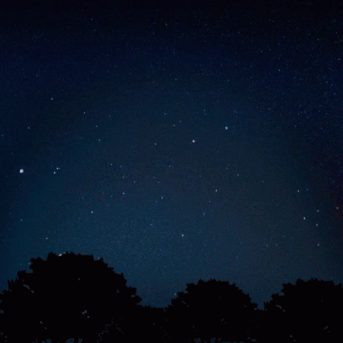Fireworks Are Displayed In A Dark Night Sky GIF