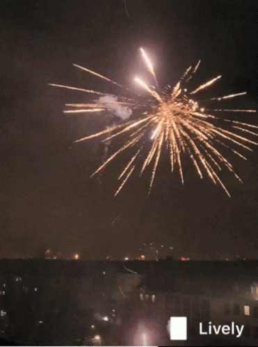 Fireworks Are Displayed In The Night Sky With A Lively Logo In The Corner GIF