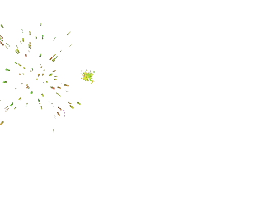 Fireworks Display