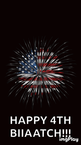 Fireworks Display Happy 4th Biiaatch