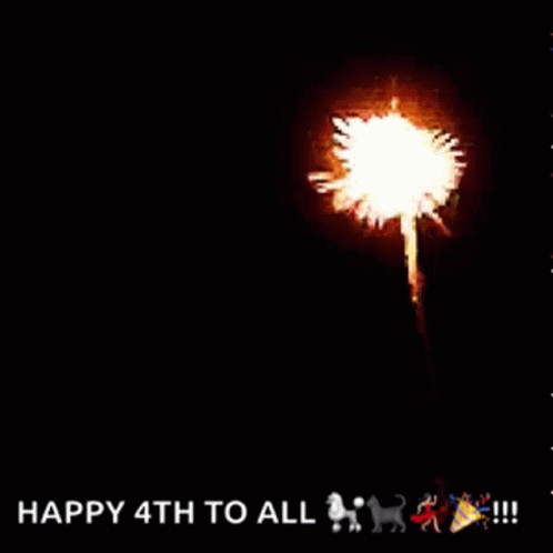 Fireworks Display Happy 4th to All
